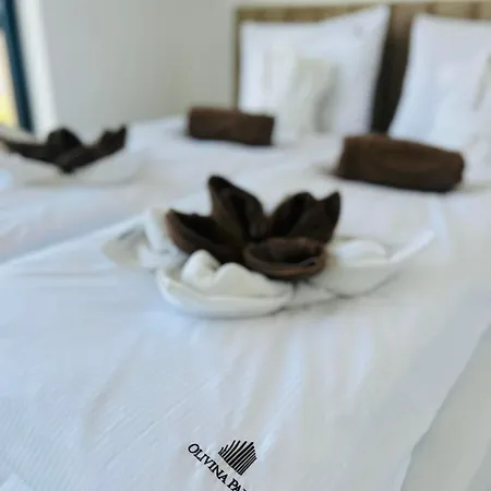 Olivina Park - Z Dostepem Do Krytego Basenu, Saun, Wyzywienia I Atrakcji Dla Dzieci Hébergement de vacances